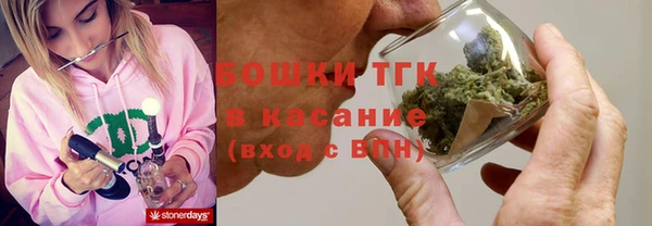 тгк Нея